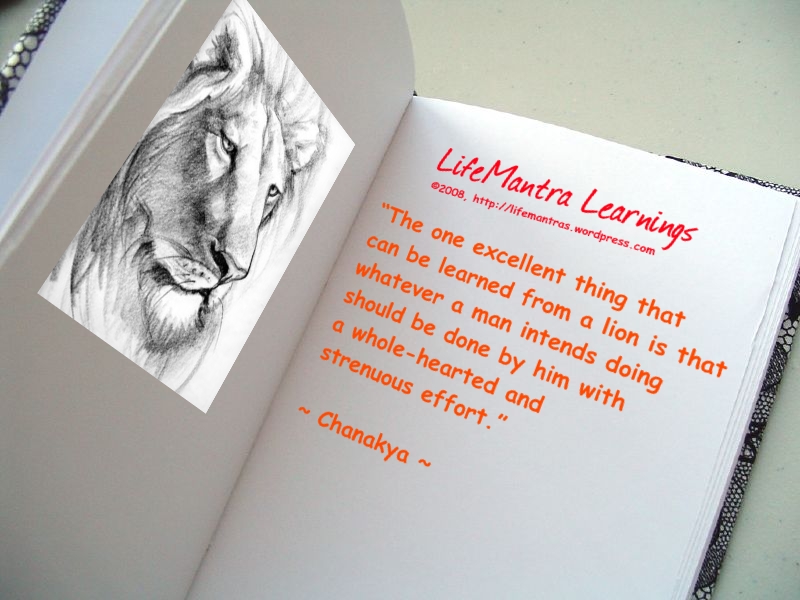 Lion